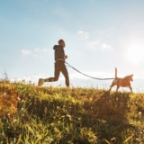 Cani-cross is de snelst groeiende hardloopsensatie: doe vandaag nog mee